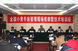 技術(shù)推廣服務(wù)中心 驅(qū)動創(chuàng)新與發(fā)展的關(guān)鍵橋梁